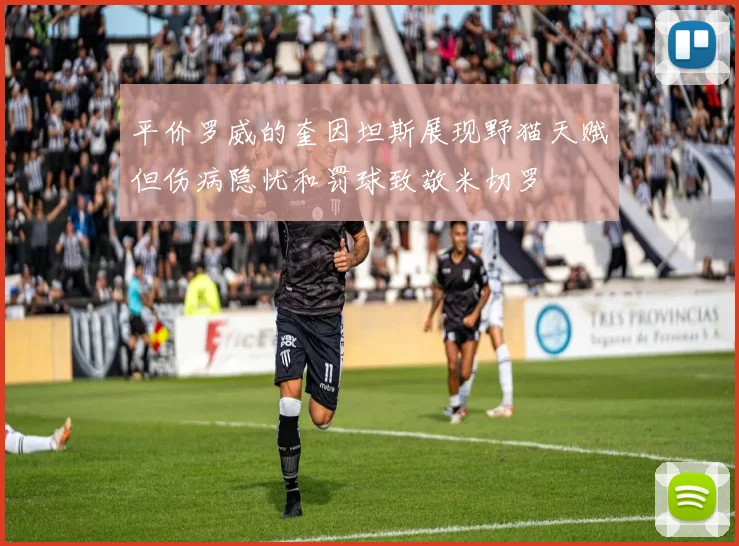 平价罗威的奎因坦斯展现野猫天赋但伤病隐忧和罚球致敬米切罗