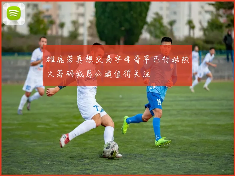 雄鹿若真想交易字母哥早已行动热火筹码诚恳公道值得关注